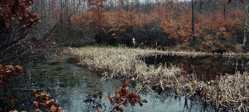Lago in ambiente boschivoRiserva Naturale Monte Rufeno, Acquapendente (anno 1994)