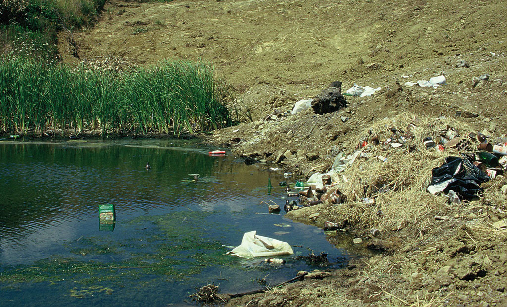 Distruzione di una pozza con interramento e discarica di rifiuti. 
Magliano in Toscana, Grosseto (anno 1994)