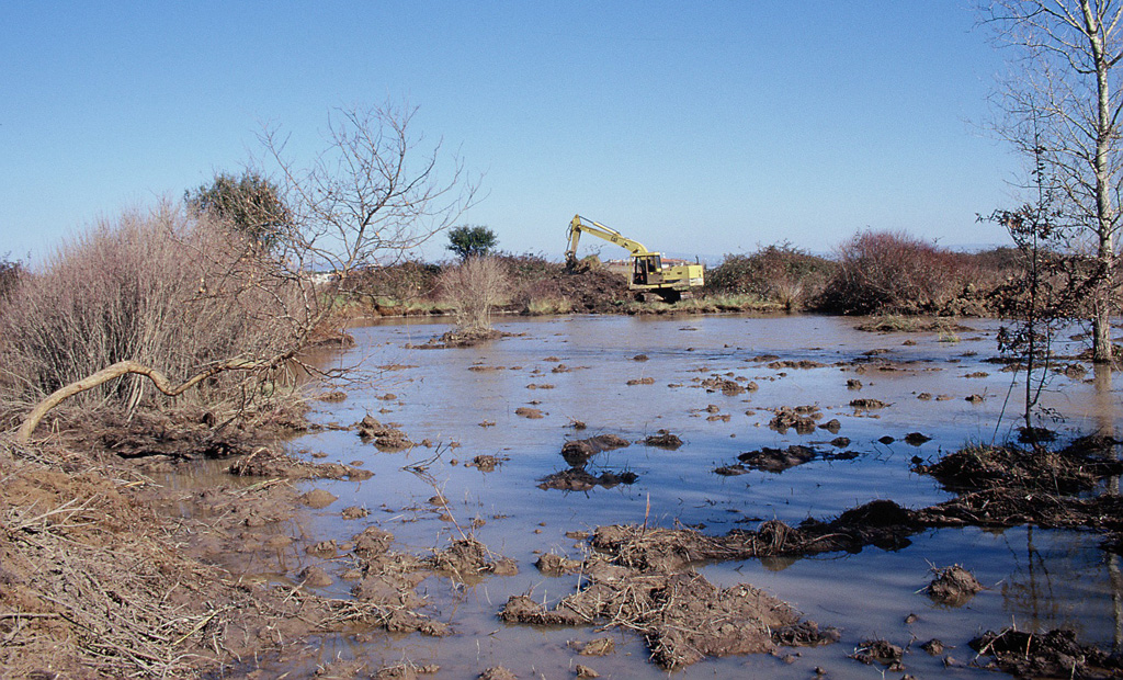 Ripristino di un’area acquitrinosa presso l’Oasi WWF Laguna di Orbetello. Orbetello, Grosseto (anno 1998). Progetto di Carlo Scoccianti