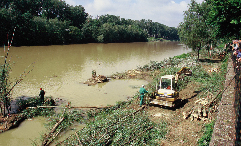 Asportazione totale della vegetazione sulla sponda destra del Fiume Arno a Firenze