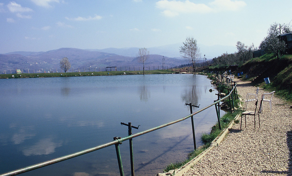 Il problema dell’immissione di pesci. In questo caso un bacino lacustre trasformato in lago da pesca.A parte il Rospo (Bufo bufo) tutte le altre specie di Anfibi non possono più utilizzare l’area come zona riproduttiva proprio per la presenza di pesci