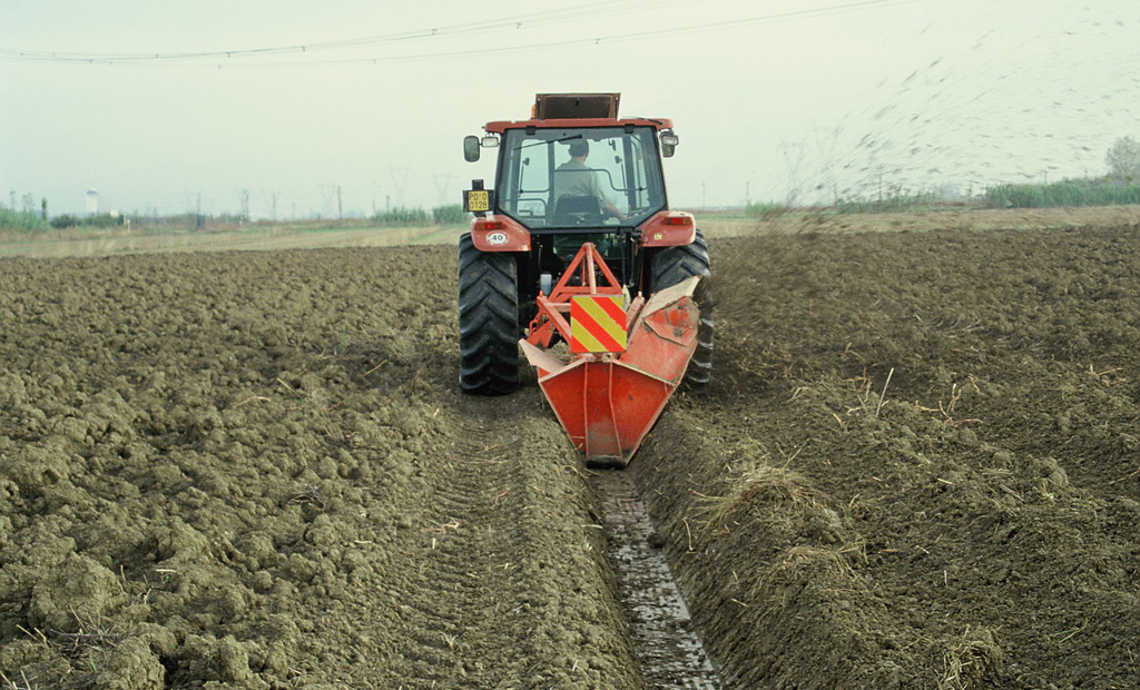 Uso di mezzi agricoli ad alto impatto: distruzione periodica del sistema dei fossi e delle scoline dei campi e rifacimento successivo delle stesse con l’affossatore rotativo. Questa pratica porta all’uccisione per seppellimento di tutte le specie della piccola fauna terrestre (anfibi compresi) presenti sul fondo dei fossetti al momento del primo passaggio del trattore con l’aratro.