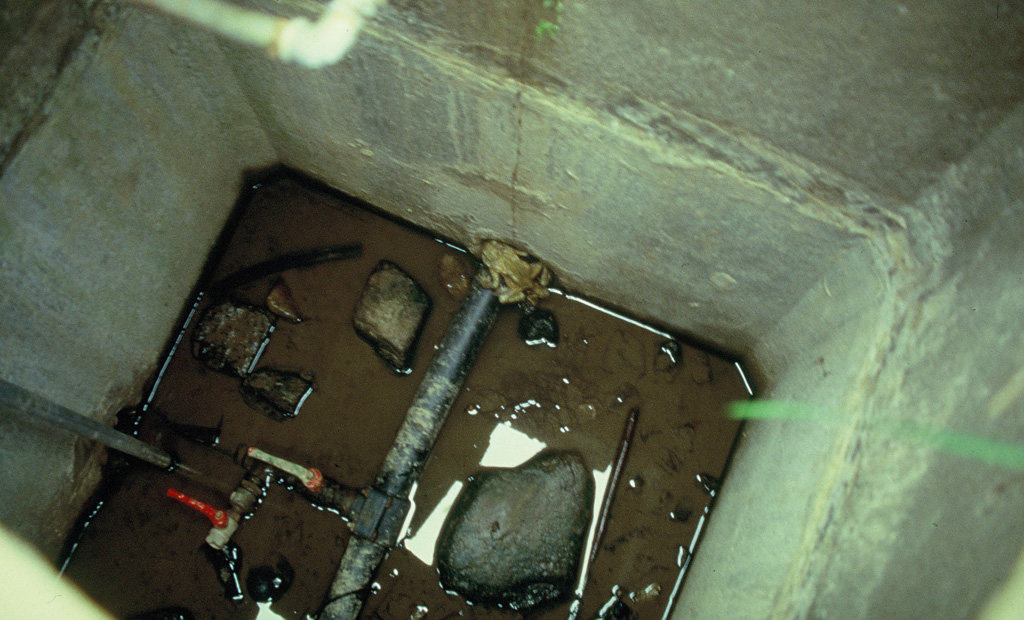 Una cisterna lasciata aperta a livello del piano di campagna è divenuta una trappola a caduta per gli Anfibi: sul fondo alcuni individui di Rospo (Bufo bufo). Castelnuovo Val di Cecina, Pisa (anno 1994)