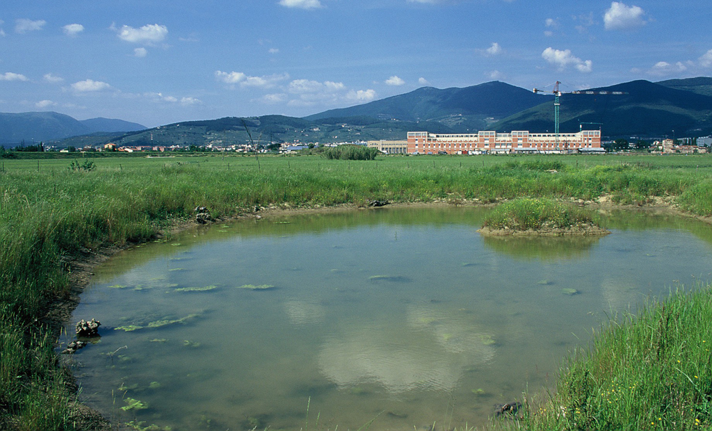 Pochi mesi dopo il termine dei lavori (1996)