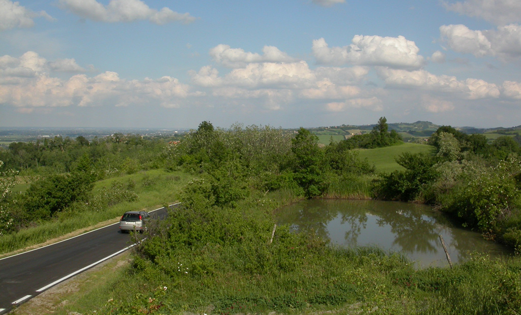 Una strada accanto ad una zona riproduttiva degli Anfibi