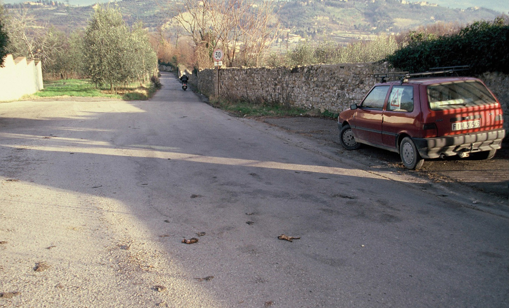 Decine di resti di Rospi (Bufo bufo) investiti su tratto di strada (‘punto focale di attraversamento’). Impruneta, Firenze (anno 1996)