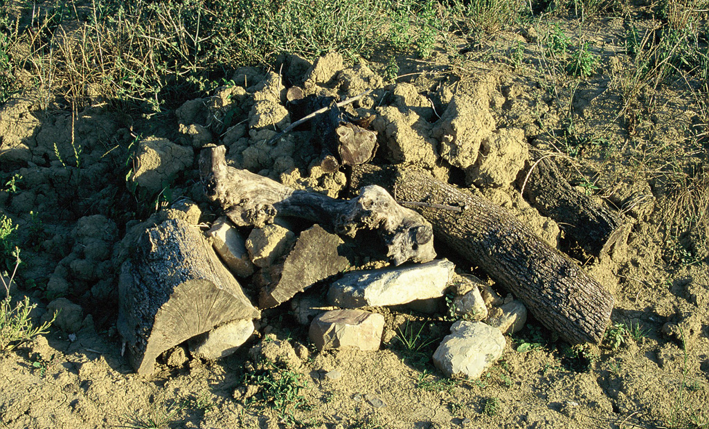 Microrifugio per lo svernamento e l’estivazione realizzato da volontari. Oasi WWF Val di Rose, Sesto Fiorentino, Firenze (anno 1996)