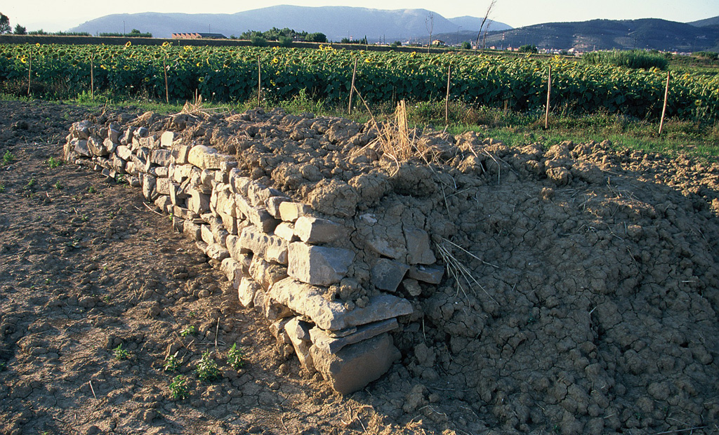 Microrifugio per lo svernamento e l’estivazione realizzato da volontari. Oasi WWF Val di Rose, Sesto Fiorentino, Firenze (anno 1996)