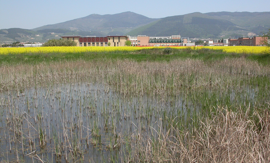 Uno degli stagni con l’Università sullo sfondo (aprile 2007)