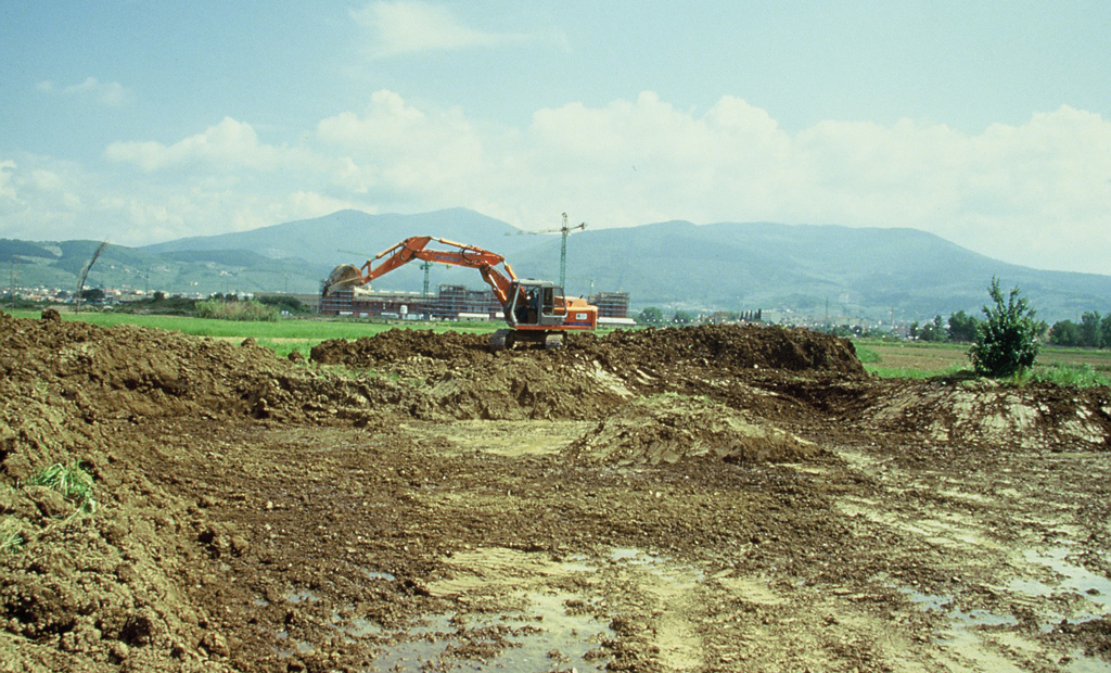 La nascita dell’Area Erpetologica Protetta e Oasi WWF Val di Rose (1996)